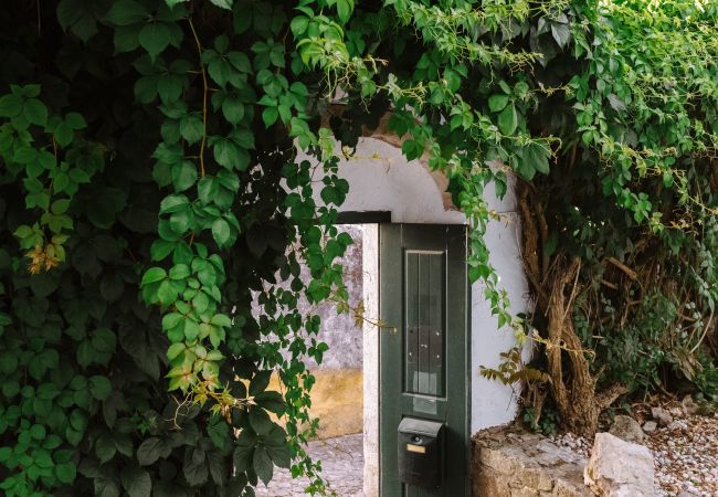 Estúdio em Óbidos - Casa António Moreira - Fotografias de Óbidos Estúdio em Óbidos - Casa António Moreira - Fotografias de Óbidos